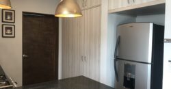 RENTA LOFT DE LUJO AMUEBLADO